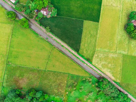 Drone shot capturing vibrant green fields and road in rural Philippine countryside.